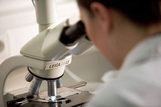 Genauere Behandlungen